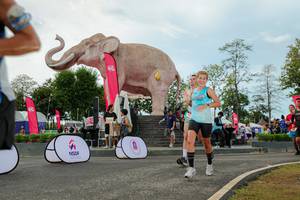 BIB: 
                            <button type="button" onclick="openModal(26528986)" class="btn btn-primary btn-sm float-right btn-popup" data-toggle="modal" data-target=".modal-high-quality">
                        <i class="fas fa-shopping-cart"></i> Add to Cart
                    </button>
                                            <button type="button" onclick="isThisMe(26528986, true)" class="btn btn-success btn-sm float-right btn-popup btn-isme hidden" data-toggle="tooltip" data-placement="bottom" title="นี่คือรูปของคุณใช่ไหม คลิกที่นี่เพื่อเอาเข้าอัลบั้ม">
                        <i class="fas fa-plus"></i> Add to album
                    </button>
                    <button type="button" onclick="isThisMe(26528986, false)" class="btn btn-warning btn-sm float-right btn-popup btn-isnotme hidden">
                        <i class="fas fa-ban"></i> Remove from album
                    </button>